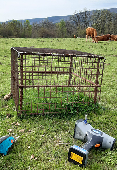 Nuevas tecnologías y mejores prácticas para incrementar la competitividad de las explotaciones de vacas nodrizas 